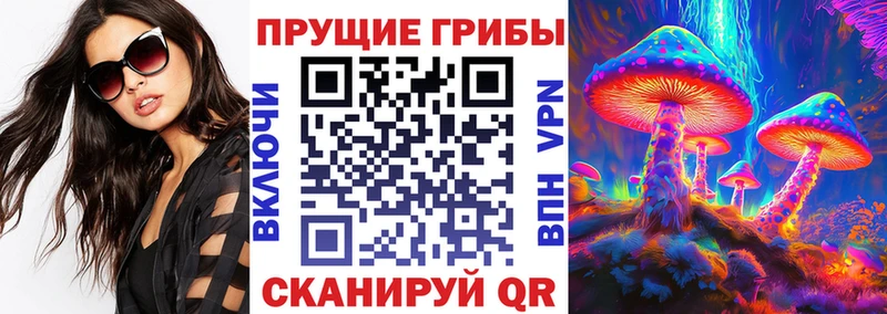 Галлюциногенные грибы Psilocybine cubensis  Ладушкин 